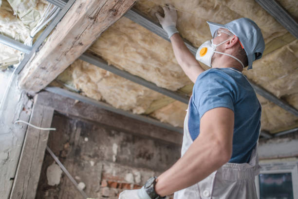 Best Insulation Installation Services in Hockinson, WA