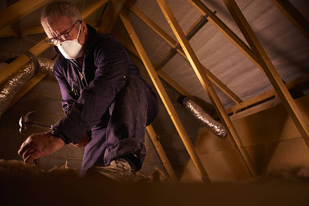 Best Insulation Materials and Products in Hockinson, WA